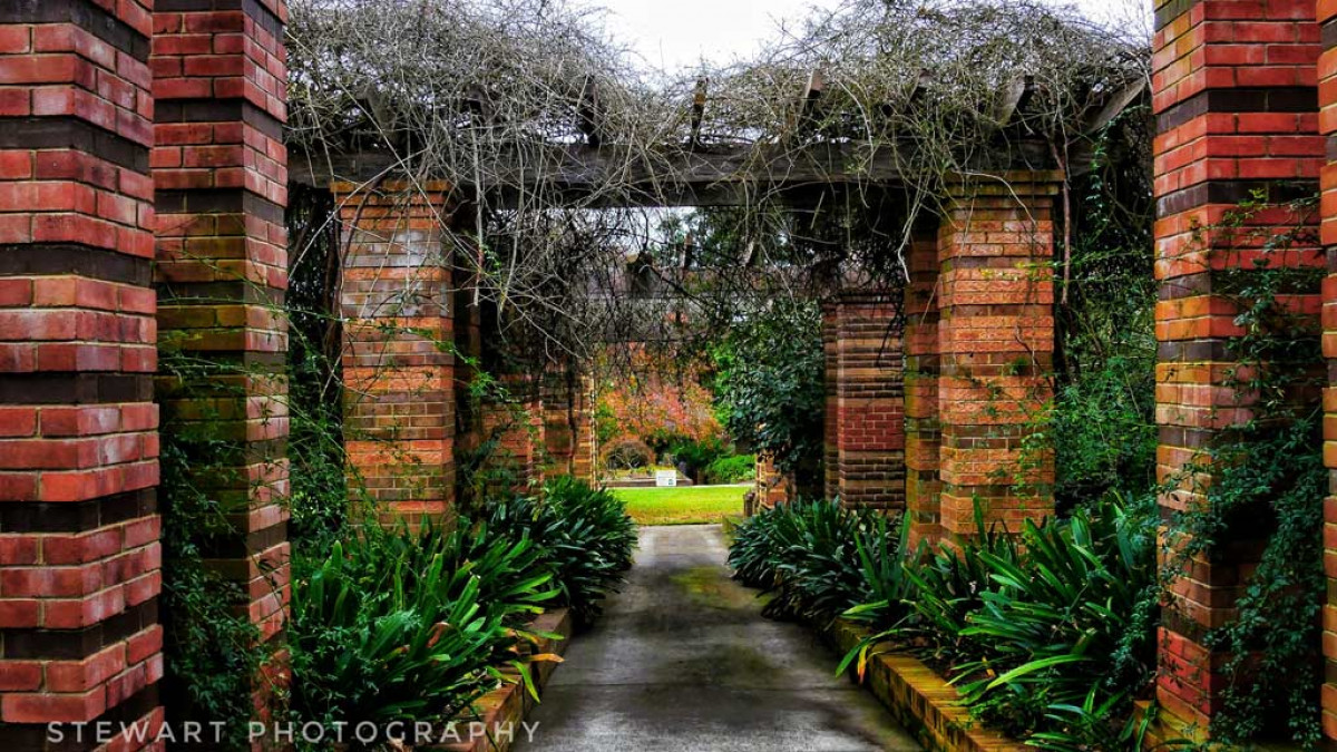 Botanical Gem - Hire for Film, TV or Event Productions